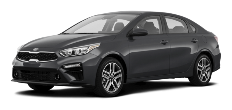 cerato-xam